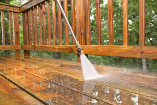 Best Garage Pressure Washing  in Lutz, FL