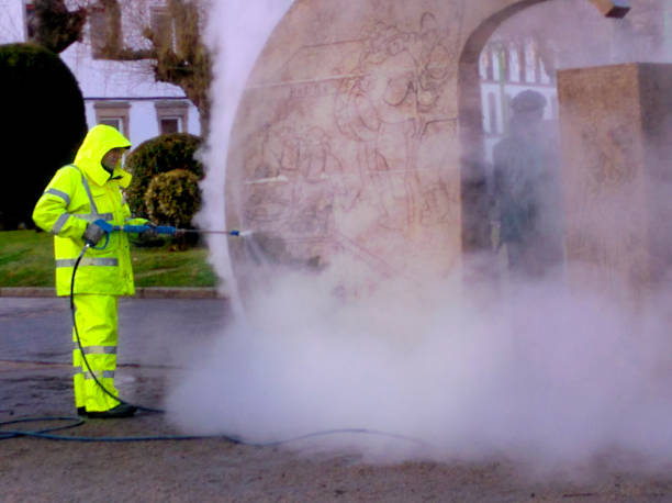 Best Pressure Washing Near Me  in Lutz, FL