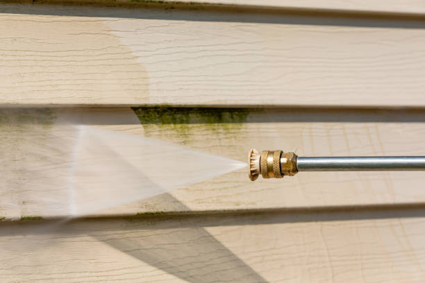 Best House Pressure Washing  in Lutz, FL