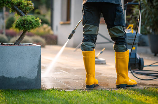 Professional Pressure Washing in Lutz, FL